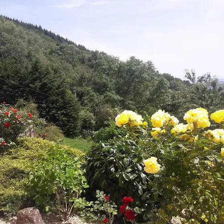 Vakantiehuis La-haut Sur La Colline *