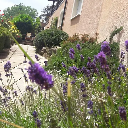 La-haut Sur La Colline *