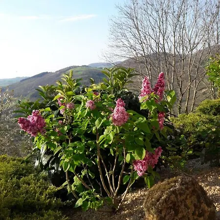 La-haut Sur La Colline *