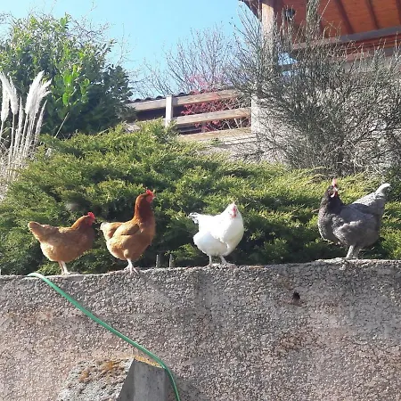 La-haut Sur La Colline Vakantiehuis
